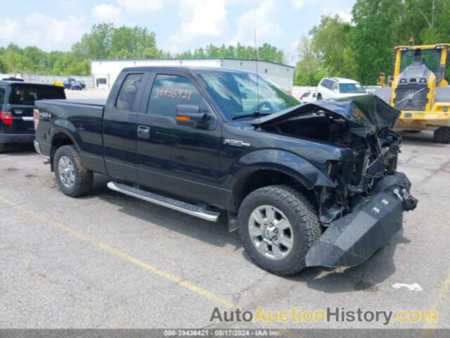 FORD F-150 XLT, 1FTFX1EF2CFA10779