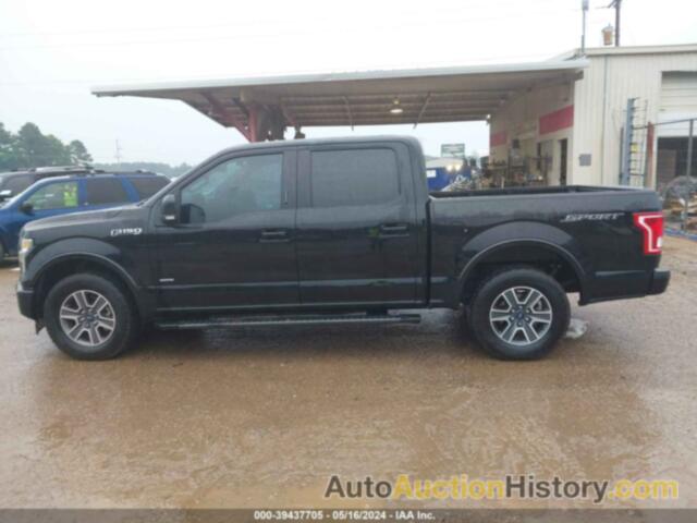 FORD F-150 XLT, 1FTEW1CP5HFA33023