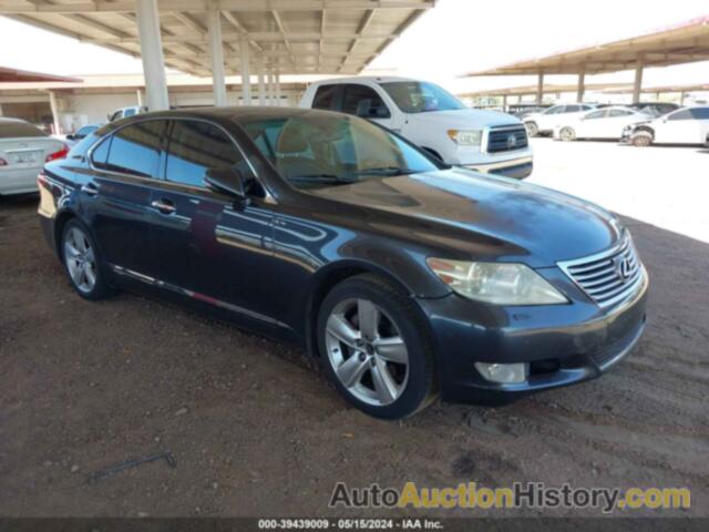 LEXUS LS 460, JTHBL5EF3A5091813