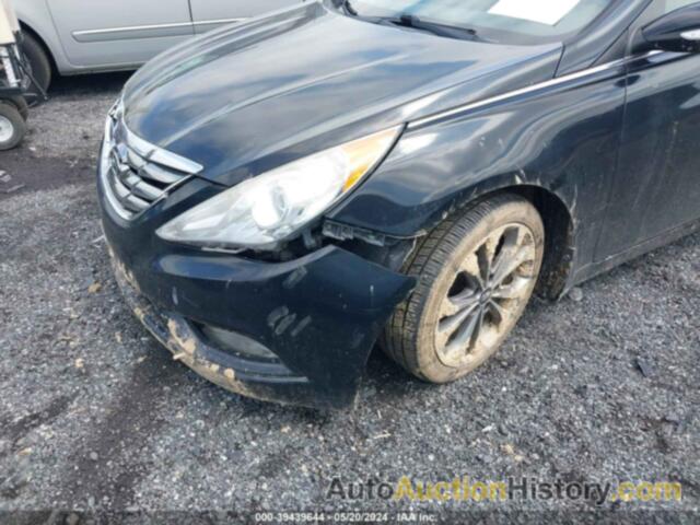 HYUNDAI SONATA SE/LIMITED, 5NPEC4AB7DH637495