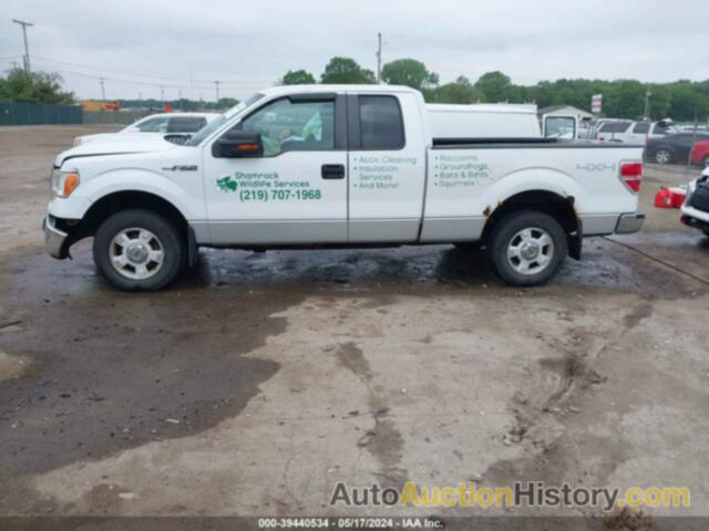 FORD F150 SUPER CAB, 1FTRX14809FB14146