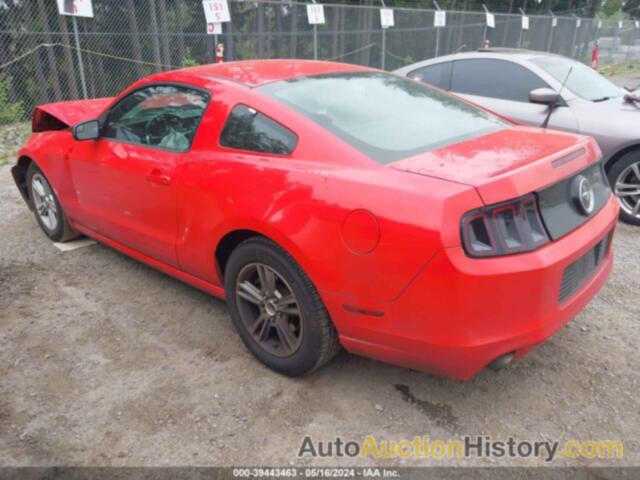 FORD MUSTANG, 1ZVBP8AM7E5235328