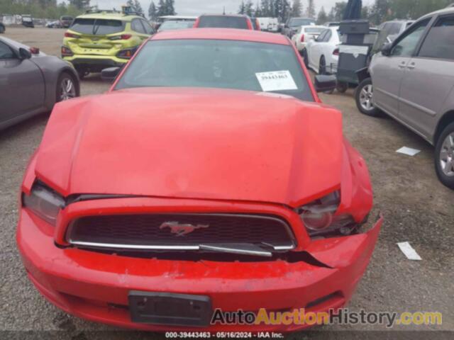 FORD MUSTANG, 1ZVBP8AM7E5235328