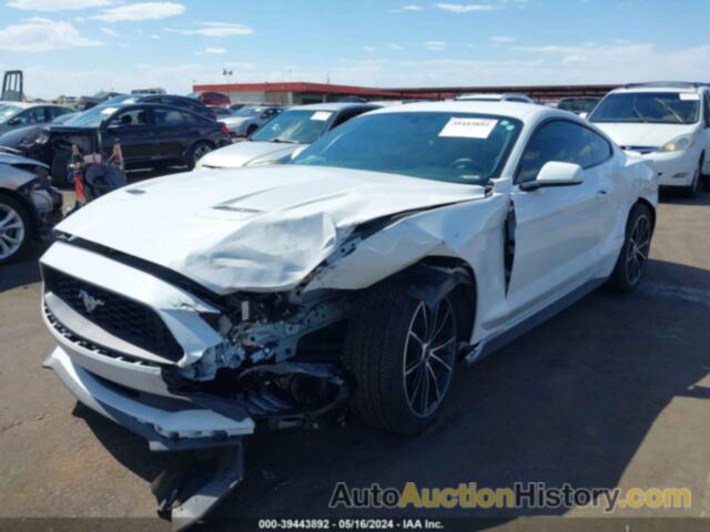 FORD MUSTANG ECOBOOST FASTBACK, 1FA6P8TH4L5177072