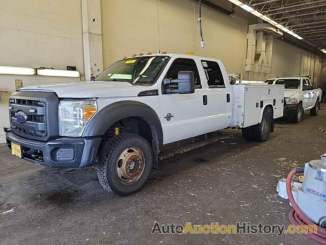 FORD F-450 CHASSIS XL, 1FD0W4HT3EEA81179