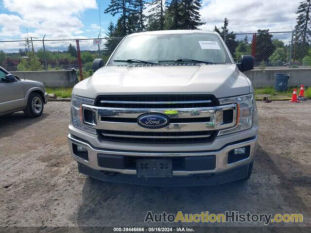 FORD F-150 XLT, 1FTEW1EG8JFD55268