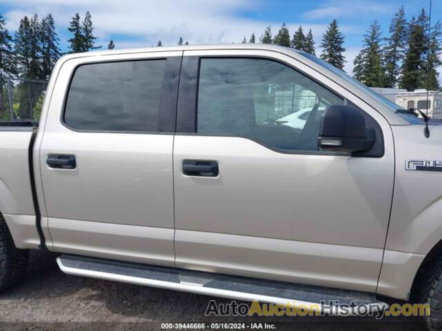 FORD F-150 XLT, 1FTEW1EG8JFD55268