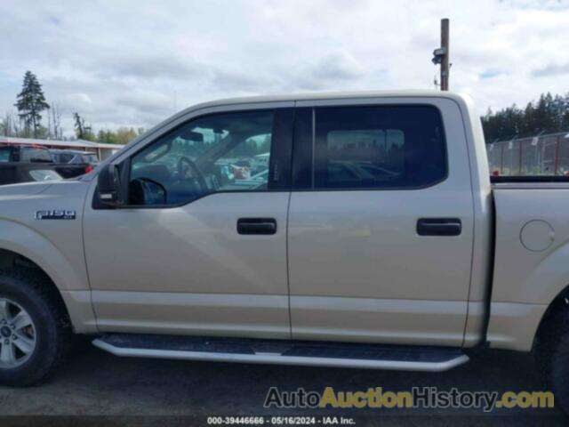 FORD F-150 XLT, 1FTEW1EG8JFD55268