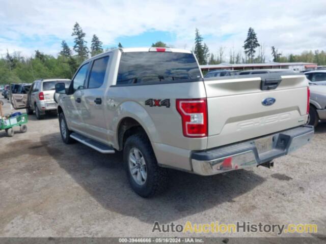 FORD F-150 XLT, 1FTEW1EG8JFD55268