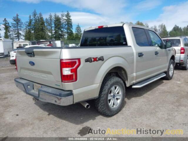 FORD F-150 XLT, 1FTEW1EG8JFD55268