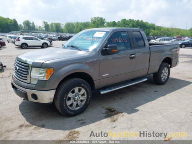 FORD F-150 XLT, 1FTFX1ET5CFC18838