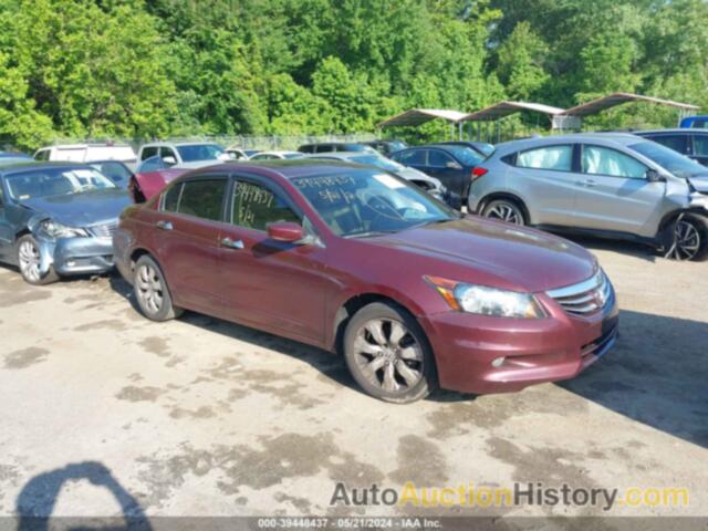 HONDA ACCORD EXL, 1HGCP3F83CA041875