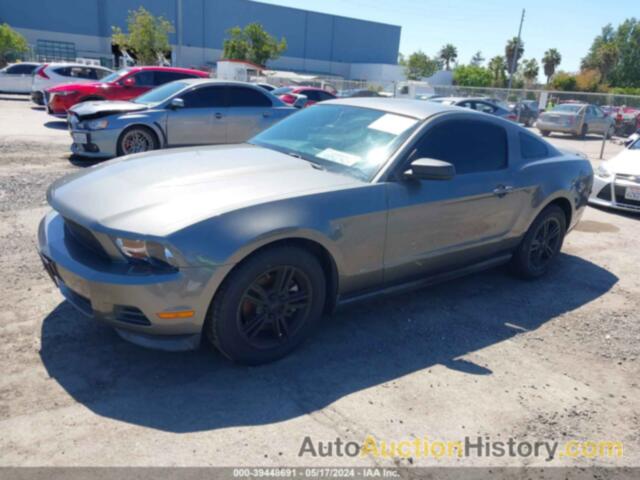 FORD MUSTANG, 1ZVBP8AM9B5138353