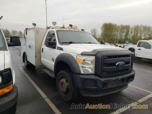 FORD F-550 CHASSIS XL, 1FDUF5HTXDEA13807