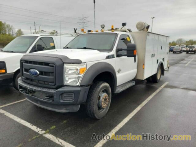 FORD F-550 CHASSIS XL, 1FDUF5HTXDEA13807