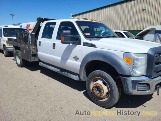 FORD F-550 CHASSIS XL, 1FD0W5HTXFEB25914