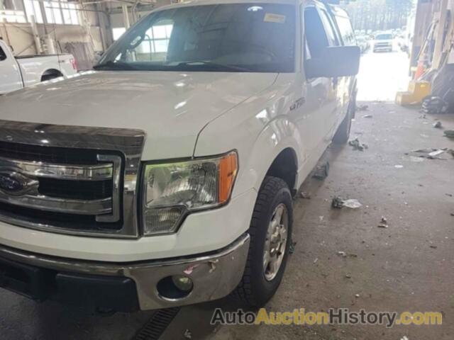 FORD F-150 XLT, 1FTFX1EF4EKD95143