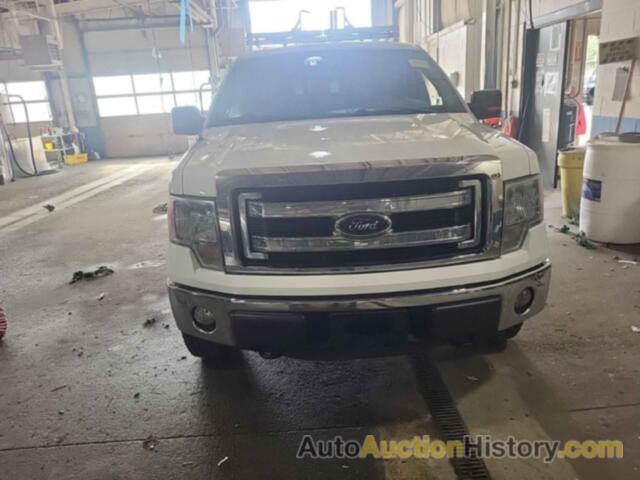 FORD F-150 XLT, 1FTFX1EF4EKD95143