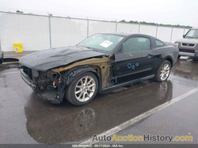 FORD MUSTANG, 1ZVBP8AM1B5162548