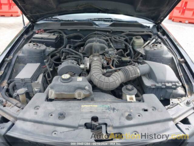 FORD MUSTANG V6 DELUXE/V6 PREMIUM, 1ZVFT80N855211255