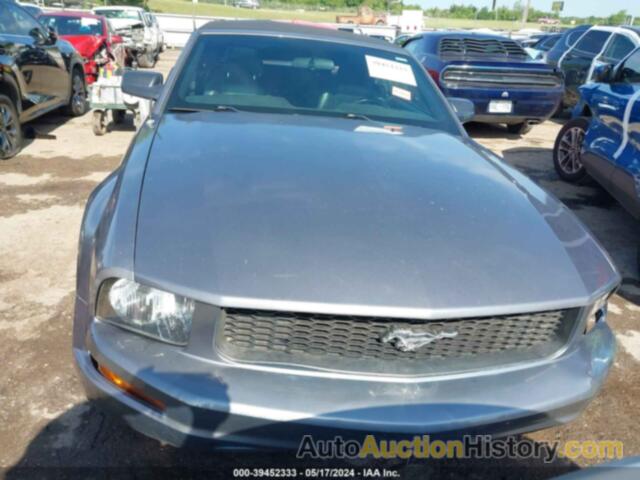 FORD MUSTANG V6, 1ZVHT84N065103216