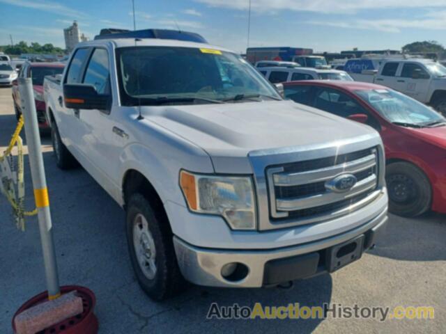 FORD F150 SUPERCREW, 1FTFW1EF6EKF73704