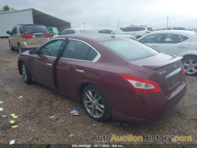 NISSAN MAXIMA 3.5 SV, 1N4AA5AP1AC825495