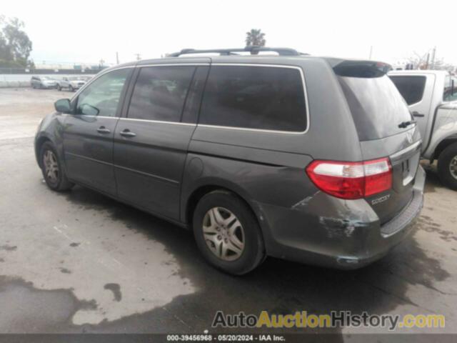 HONDA ODYSSEY EX-L, 5FNRL38697B443915