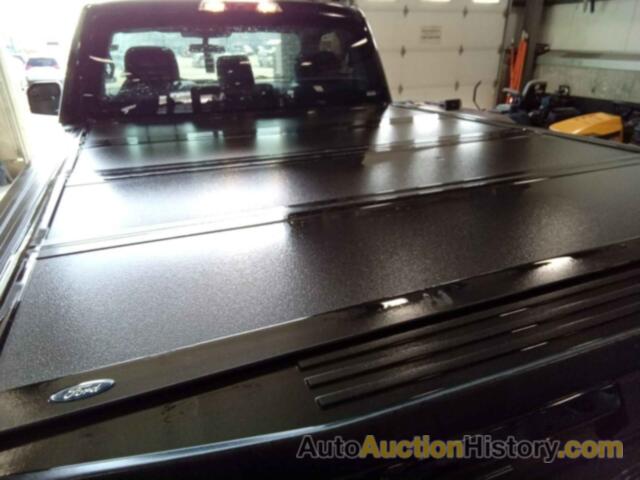 FORD F-150 XL, 1FTMF1EB7LKD83265