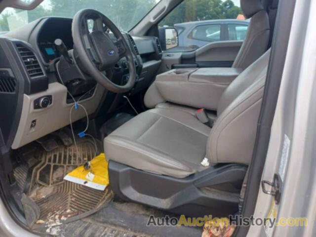 FORD F-150 XL, 1FTMF1C87HKD02005