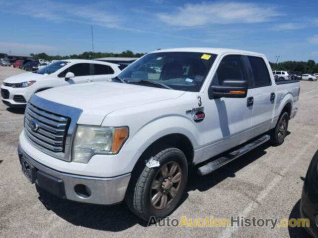 FORD F-150 XLT, 1FTFW1CFXBKD47244