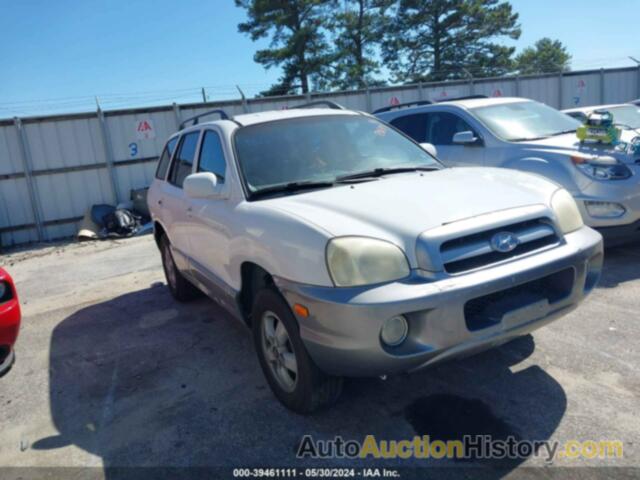 HYUNDAI SANTA FE GLS, KM8SC13D05U890709