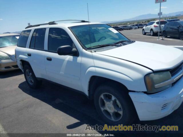 CHEVROLET TRAILBLAZER LS, 1GNDS13S172102329