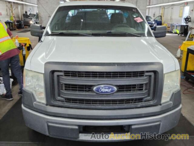 FORD F150, 1FTMF1CM2DKE94991