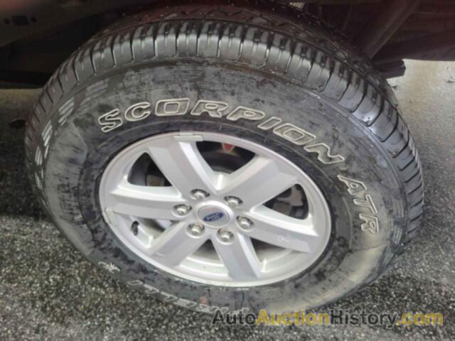 FORD F150, 1FTMF1EB7MKE70309