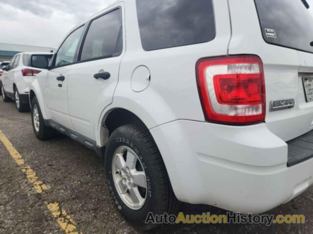 FORD ESCAPE XLT, 1FMCU9DG7AKC03756